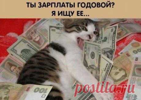 «ДОМАШНИЙ» ЗАЁМ: А ПРИ НЁМ…