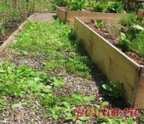 (40) Одноклассники