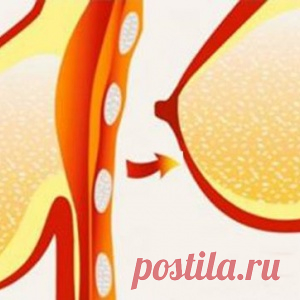 10 упражнений, которые подтянут грудь и восстановят красивую форму