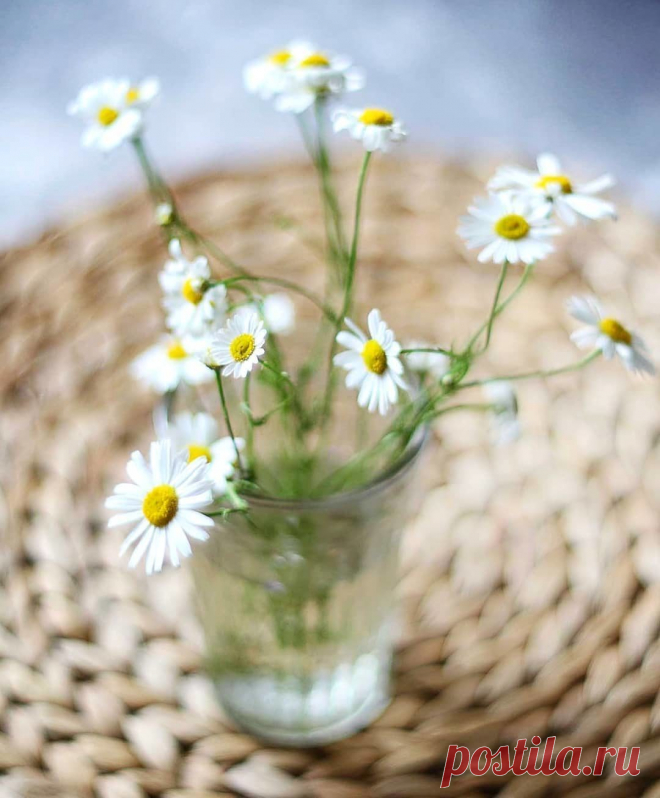 В одном часе любви – целая жизнь. Оноре де Бальзак