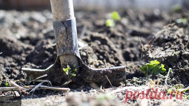 Почему не стоит перекапывать огород осенью: 5 причин