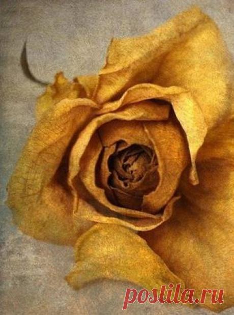 Приучайте себя все, что бы ни делали вы, делать отчетливо, с изяществом, расчлененно; не смазывайте своей деятельности, не делайте ничего безвкусно, кое-как. 

Помните, в «кое-как» можно потерять всю жизнь, и, напротив, в отчетливом ритмическом делании даже вещей и дел не первой важности можно открыть для себя многое, что послужит вам впоследствии самым глубоким, может быть, источником нового творчества.