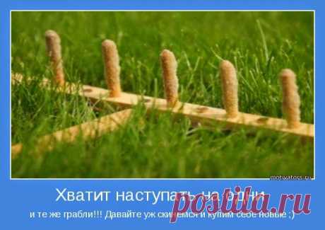 TАРО: ВЕСЕЛЫЙ ГОРОСКОП : &amp;#171;КАК НАСТУПАЮТ НА ГРАБЛИ РАЗНЫЕ ЗНАКИ ЗОДИАКА ?&amp;#187;
