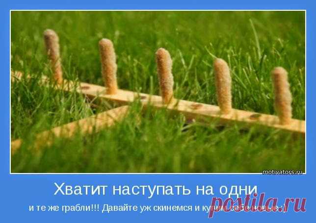 TАРО: ВЕСЕЛЫЙ ГОРОСКОП : &#171;КАК НАСТУПАЮТ НА ГРАБЛИ РАЗНЫЕ ЗНАКИ ЗОДИАКА ?&#187;
