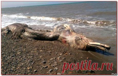 Загадочное и необъяснимое » Аномальные новости