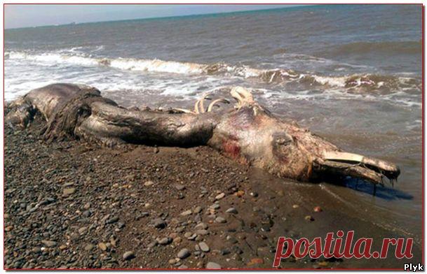 Загадочное и необъяснимое » Аномальные новости