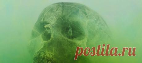 Ученые обнаружили новый способ датировать тела утопленников – он поможет полиции в расследованиях, а патологоанатомам – в их нелегкой работе (а может, и вам пригодится, кто знает).