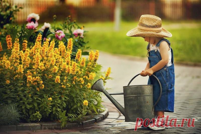 Пытаться добиться успеха, ничего не делая – то же самое, что пытаться собрать урожай там, где вы ничего не сеяли.﻿..