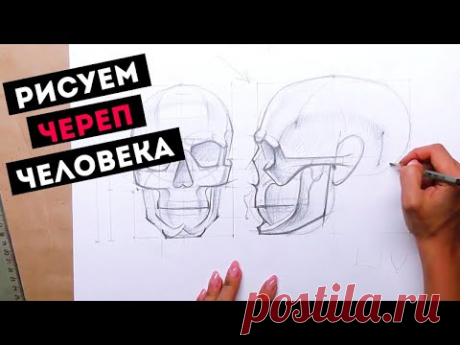 Как нарисовать череп — kalachevaschool.ru — Поэтапный мастер-класс Дарьи Остапенко