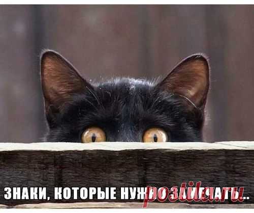 Знаки, которые нужно замечать...