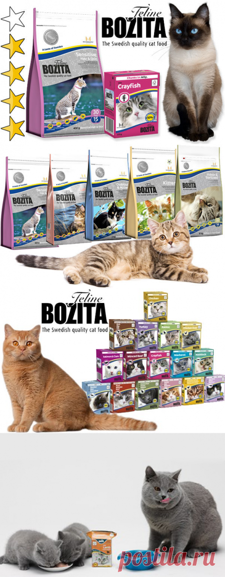 Корм для кошек Бозита (Bozita): обзор, виды, состав, отзывы