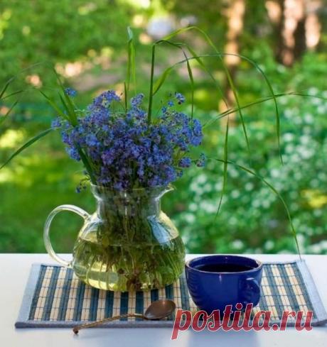 Пусть доброе утро Длится до вечера!