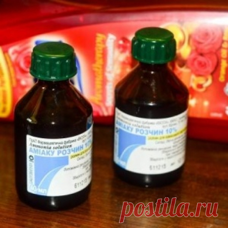 Запах секонд-хенда. Как убрать запах с одежды - МирТесен