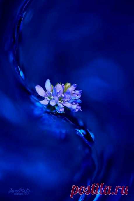 By Jasna Matz on 500 px