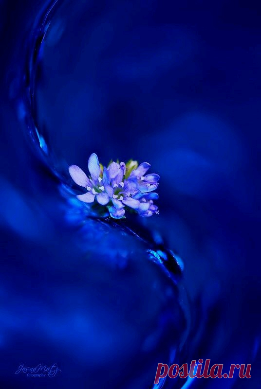 By Jasna Matz on 500 px