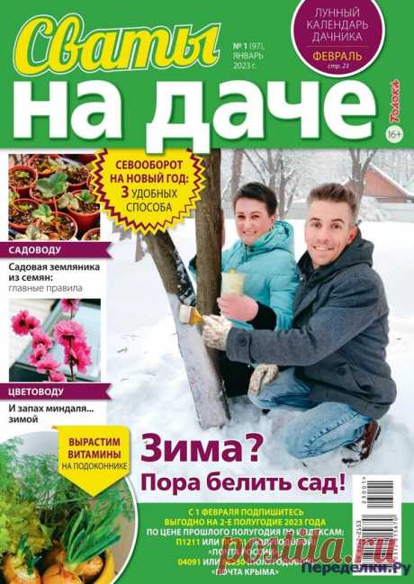 Сваты на даче №1 2023 * Переделки.Ру Сваты на даче №1 2023 Читать журнал ОНЛАЙН