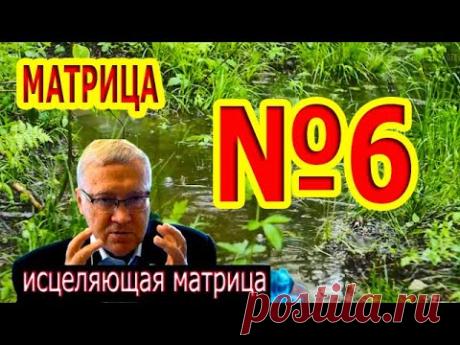 Матрица Гаряева №6 Полное Исцеление Всего Организма