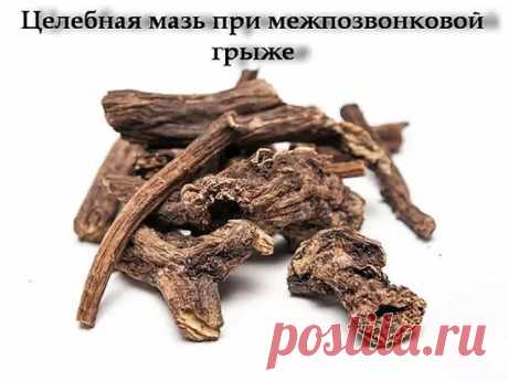 ЦЕЛЕБНАЯ МАЗЬ ПРИ МЕЖПОЗВОНКОВОЙ ГРЫЖЕ

Существуют прекрасные мази и настойки для рассасывания и обезболивания межпозвонковых грыж. Одной из самых эффективных считаются мазь и настойка из корня окопника, который в народе называют живокостью или костоломом. Окопник сращивает кости, снимает суставную боль, отеки, рассасывает грыжи.

Мазь из окопника: возьмите 0,5 кг свежего сухого корня окопника, 70 г сосновой живицы, 350 г свиного внутреннего жира, 300 г водки. Окопник вымо...