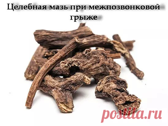ЦЕЛЕБНАЯ МАЗЬ ПРИ МЕЖПОЗВОНКОВОЙ ГРЫЖЕ

Существуют прекрасные мази и настойки для рассасывания и обезболивания межпозвонковых грыж. Одной из самых эффективных считаются мазь и настойка из корня окопника, который в народе называют живокостью или костоломом. Окопник сращивает кости, снимает суставную боль, отеки, рассасывает грыжи.

Мазь из окопника: возьмите 0,5 кг свежего сухого корня окопника, 70 г сосновой живицы, 350 г свиного внутреннего жира, 300 г водки. Окопник вымо...