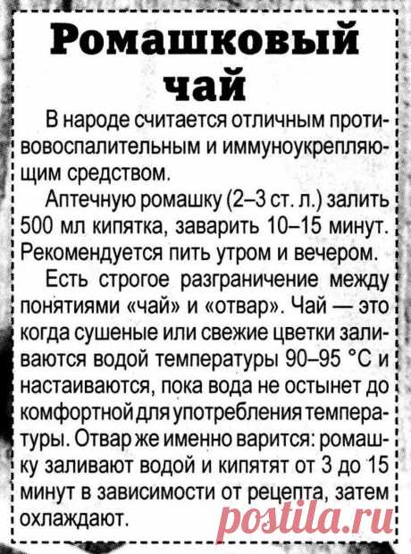 Ромашковый чай