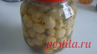 Маринкины Творинки Videos - Кулинарные рецепты