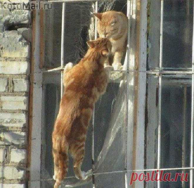 Романтики