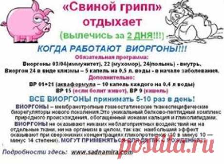 (115) Без названия
