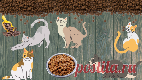 🐱Почему я больше не беру корм на развес для кота? Из моего опыта | Пушистые  новости от Шерхана | Яндекс Дзен