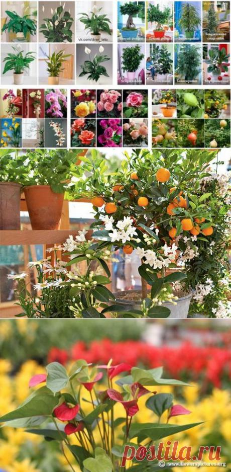 Дверь в лето | Журнал уюта и тепла