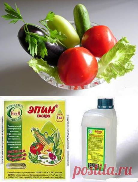 Регуляторы роста и развития растений » Все для дачи