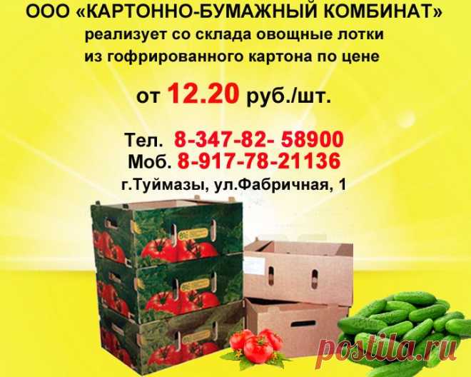 Сезонное спецпредложение по овощным лоткам