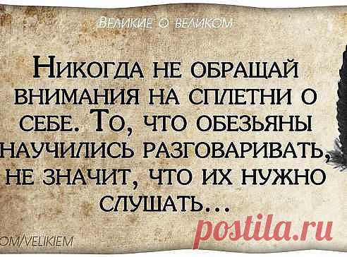Нина Школа (Корчагина)
52 года, Россия, Ярцево
все её фото