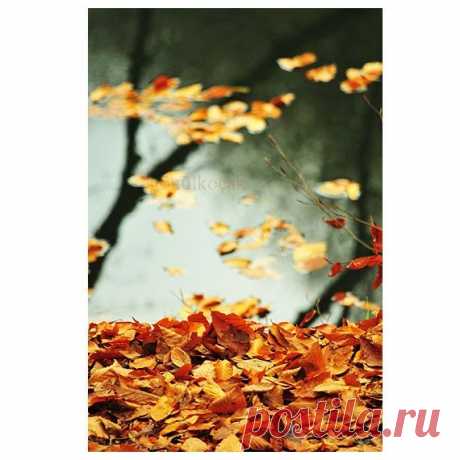 Autumn, leaves, fall, Nature photography, Wall Decor, lake, Orange, rustic, leaf, woodland in Fall, reflection, 10x15 inches