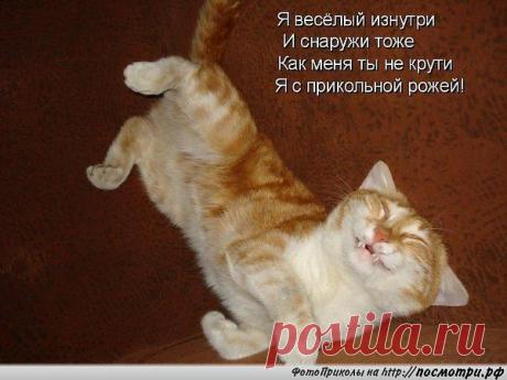 Интересные новости