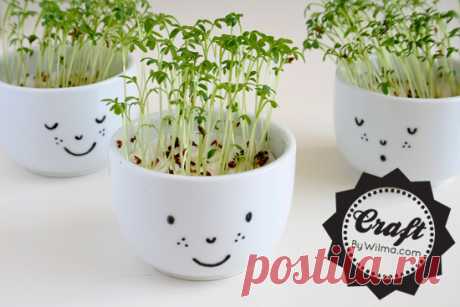 DIY – Cress cups with a face | By Wilma
