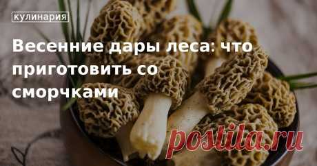 Весенние дары леса: что приготовить со сморчками. Кулинарные статьи и лайфхаки В статье рассказываем, как правильно чистить, варить и жарить сморчки. Делимся простыми пошаговыми рецептами супа, салата и вторых блюд с первыми весенними грибами.