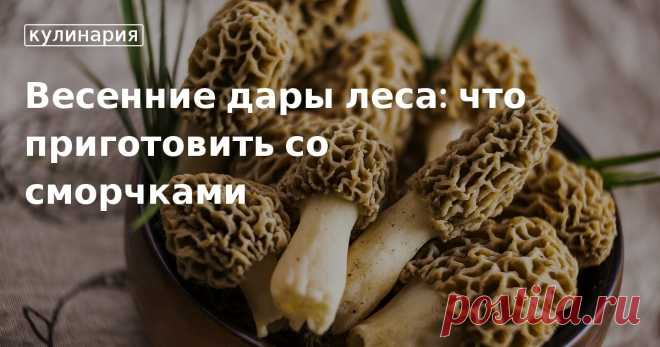 Весенние дары леса: что приготовить со сморчками. Кулинарные статьи и лайфхаки В статье рассказываем, как правильно чистить, варить и жарить сморчки. Делимся простыми пошаговыми рецептами супа, салата и вторых блюд с первыми весенними грибами.