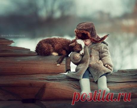 ПРЕКРАСНЫЕ, СМЕШНЫЕ И ДУШЕРАЗДИРАЮЩИЕ СНИМКИ 2015