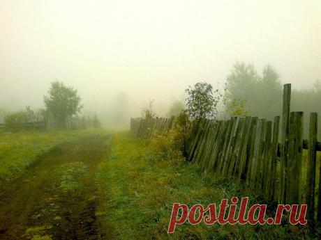 туман за околицей