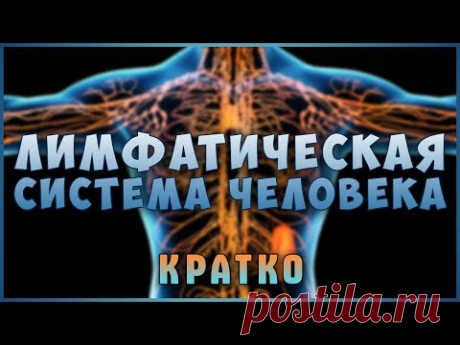 Застой и Очистка Лимфы! Знай и живи. Лимфатическая система! Лимфоузлы. Фролов Ю.А.