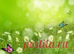 -Какой сегодня день? 
- Лето...






Самоцветы – Лето