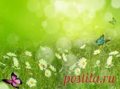 -Какой сегодня день? 
- Лето...






Самоцветы – Лето