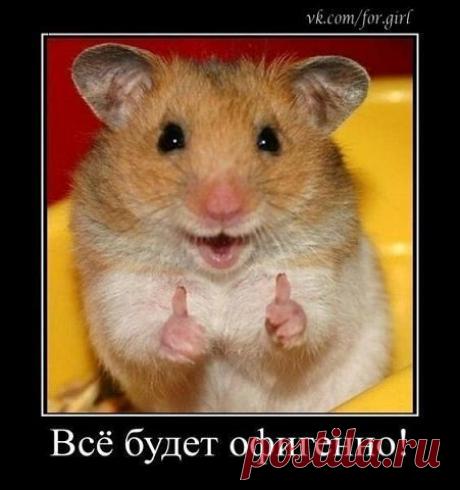 Мой Мир@Mail.Ru