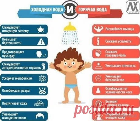 Польза холодного и горячего душа / Взлом логики