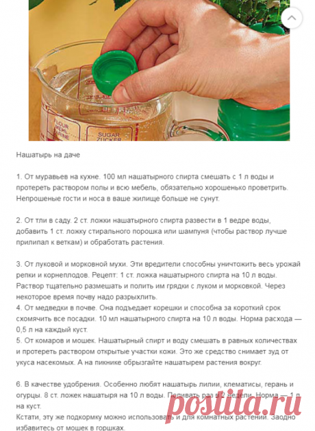 (4) Одноклассники