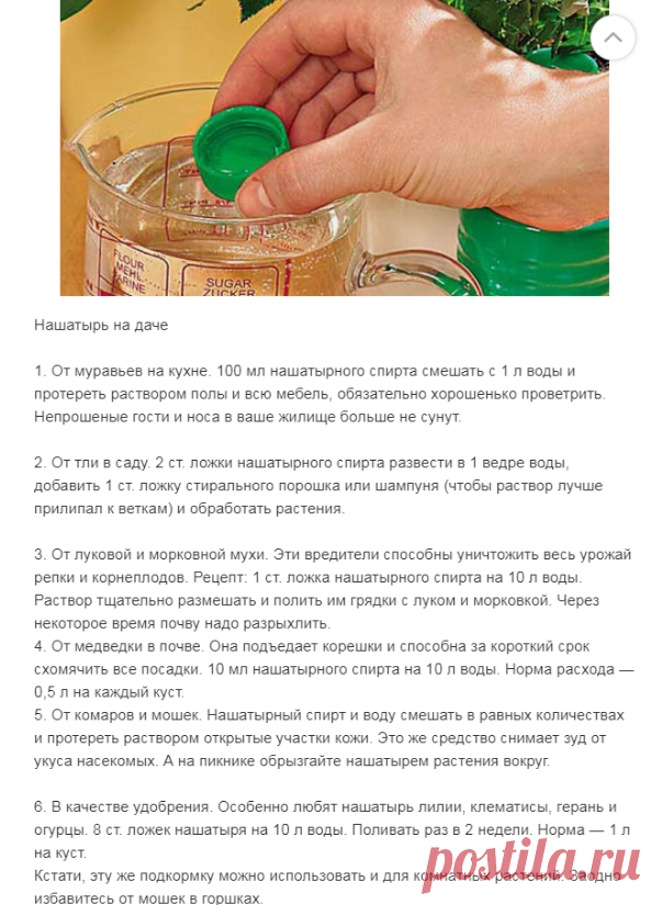 (4) Одноклассники