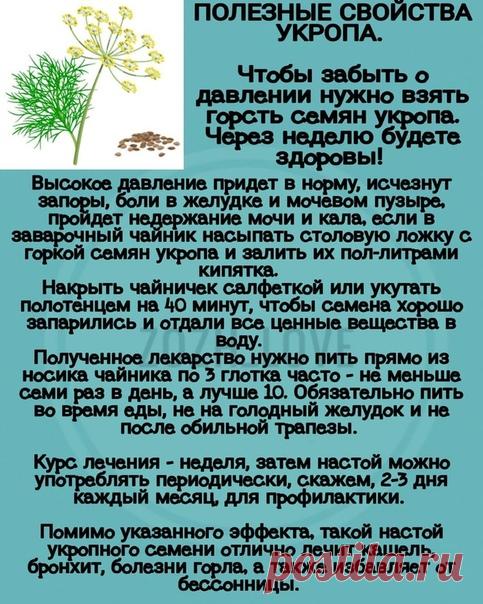 Полезные свойства укропа.
Если полезно ставь лaйк