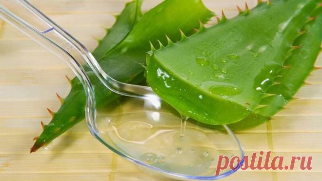 Замечательный рецепт для тех, кто хочет укрепить зрение 
Это рецепт давний. Пренадлежит академику Филатову. (Переписан с информационной доски в одесской клинике глазных заболеваний в 60-х годах).
Рецепт для укрепления зрения
Ингредиенты:

100 г сока алоэ
5…