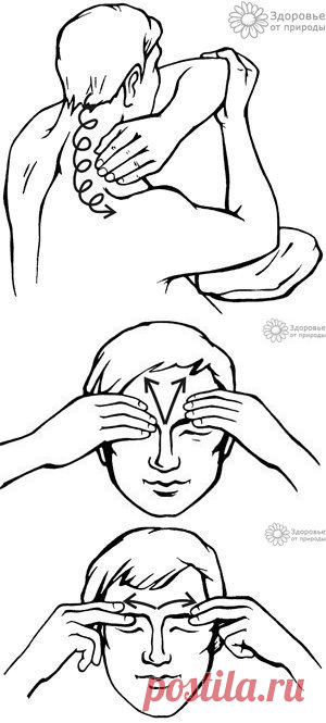 Здоровье в наших руках: Самомассаж головы, шеи и плеч