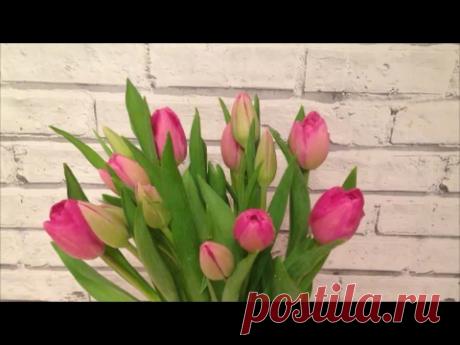 5 Советов Как Сохранить Срезанные Тюльпаны В Вазе подольше + Что с ними стало через 7 дней